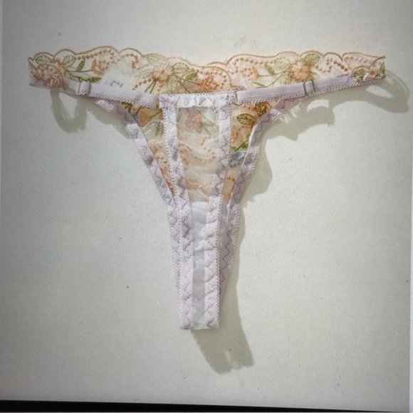 Brand New Embroidery Mesh Panty Various - Picture 2 of 5